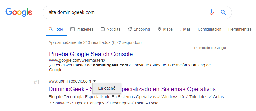 Ver pagina web en la caché de Google